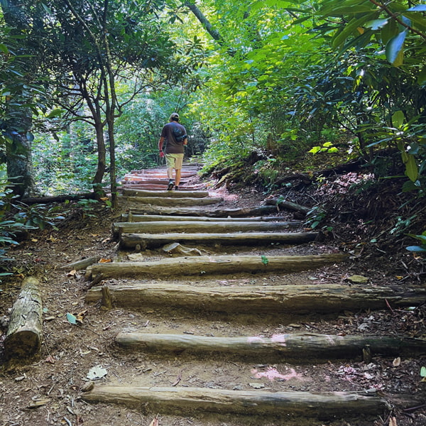 Skinny Dip Falls trail stairs