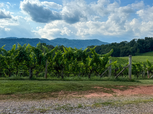Addison Farms Vineyard and mountains