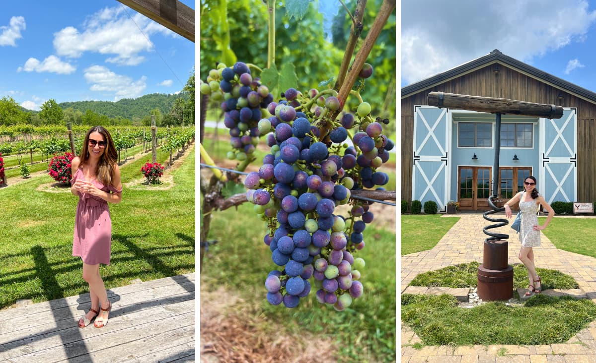 photos of grapes and me with wine