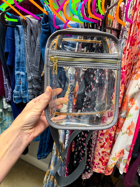 Clear Purse
