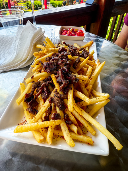 Parker-Binns Vineyard fries