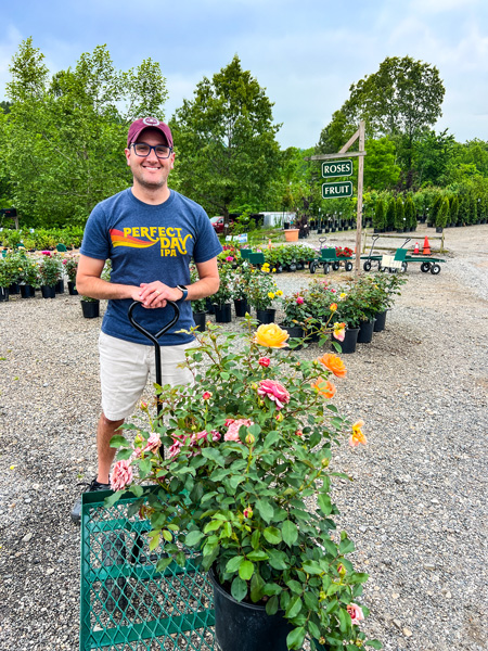 Tom shopping at Reems Creek Nursery