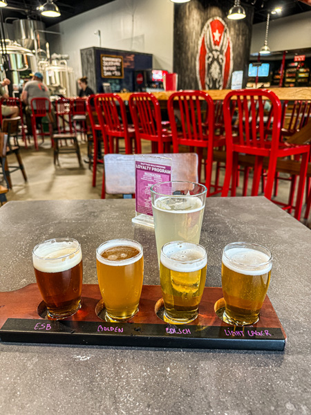 Salt Face Mule Brewing Co beer flight
