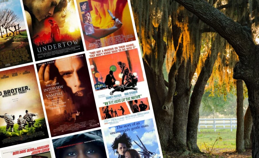Southern Gothic Movies collage with tree photo