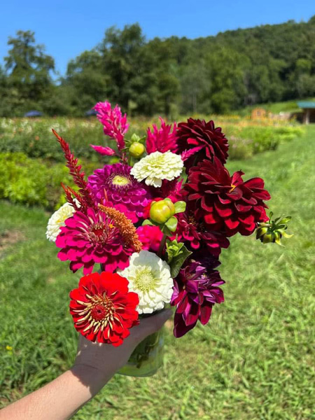 The Never Ending Flower Farm UPick Flowers