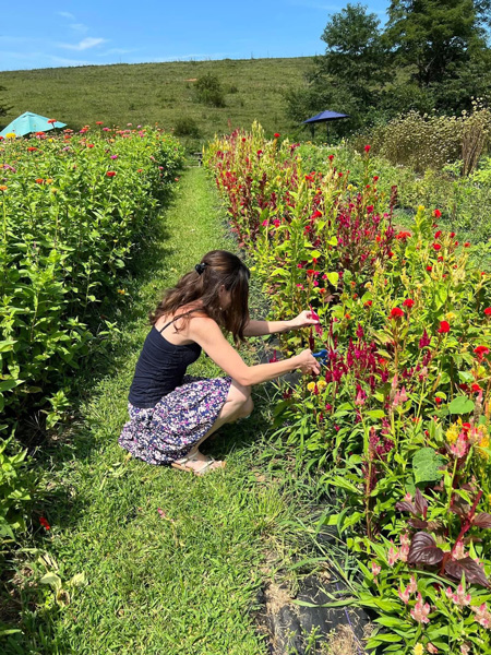 Christine picking flowers at The Never Ending Flower Farm